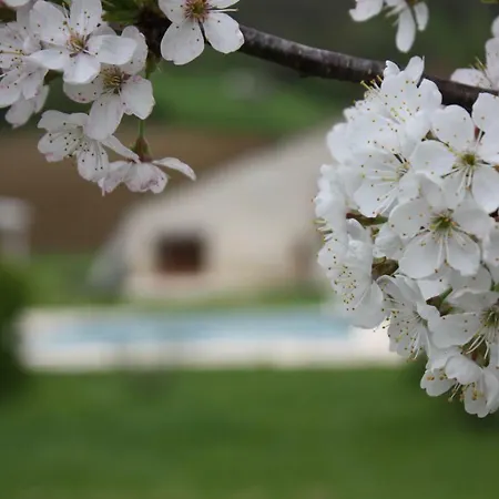 Hébergement de vacances Grand Pré ! Et La Roulotte De