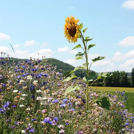 Grand Pré ! Et La Roulotte De Hébergement de vacances