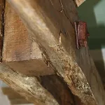 Grand Pré ! Et La Roulotte De Casa vacanze