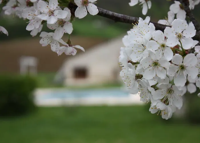 Dom wakacyjny Grand Pre ! Et La Roulotte De