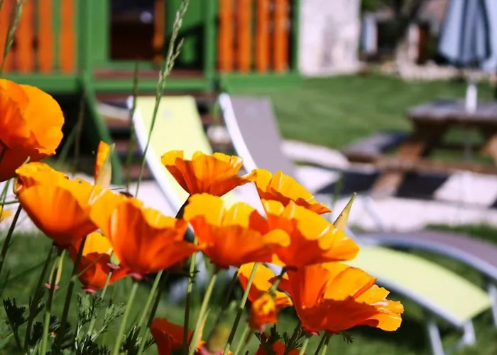 Dom wakacyjny Grand Pre ! Et La Roulotte De