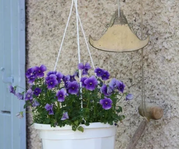 Dom wakacyjny Grand Pre ! Et La Roulotte De Roquecor