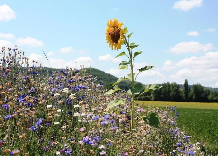 Grand Pre ! Et La Roulotte De Feriehus